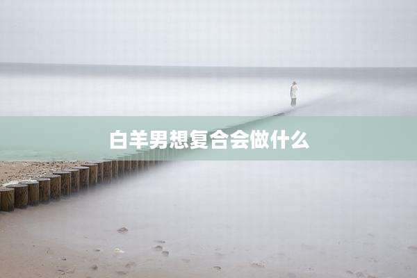 白羊男想复合会做什么