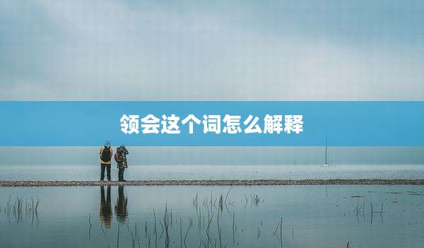领会这个词怎么解释