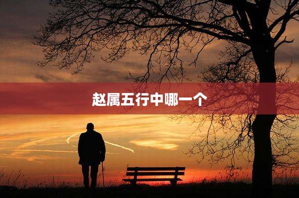 赵属五行中哪一个