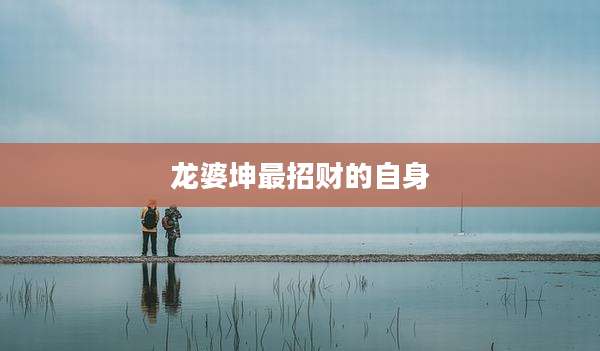龙婆坤最招财的自身