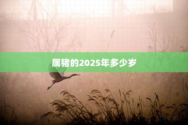 属猪的2025年多少岁