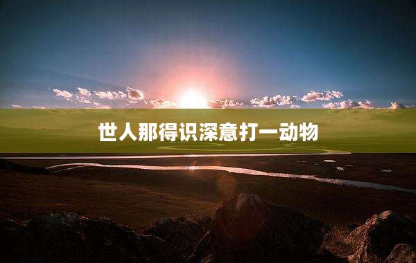 世人那得识深意打一动物