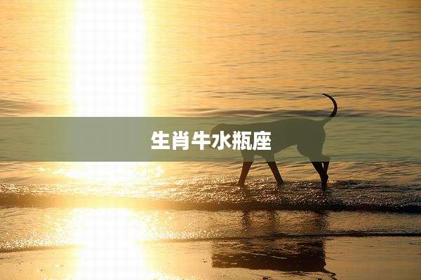 生肖牛水瓶座