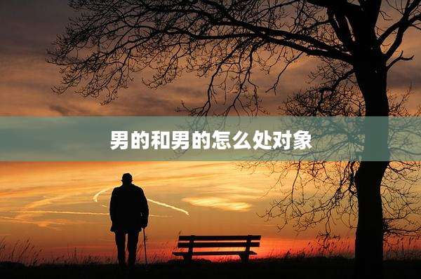 男的和男的怎么处对象