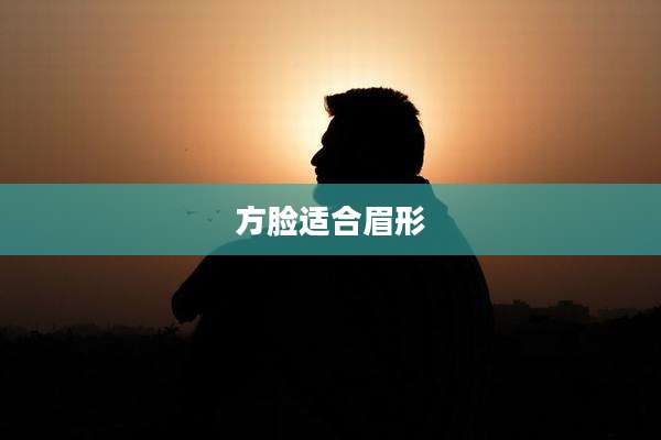 方脸适合眉形