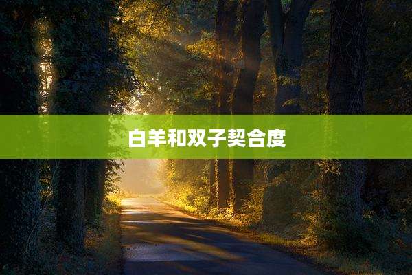 白羊和双子契合度