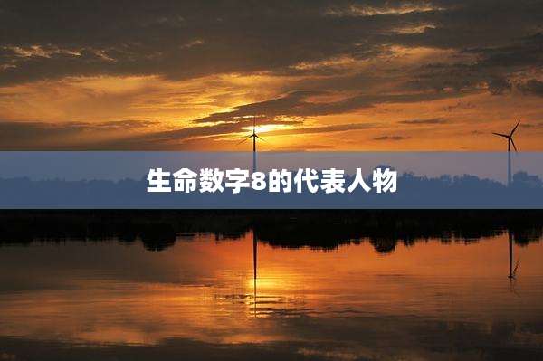 生命数字8的代表人物