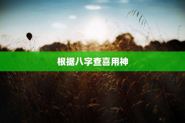 根据八字查喜用神