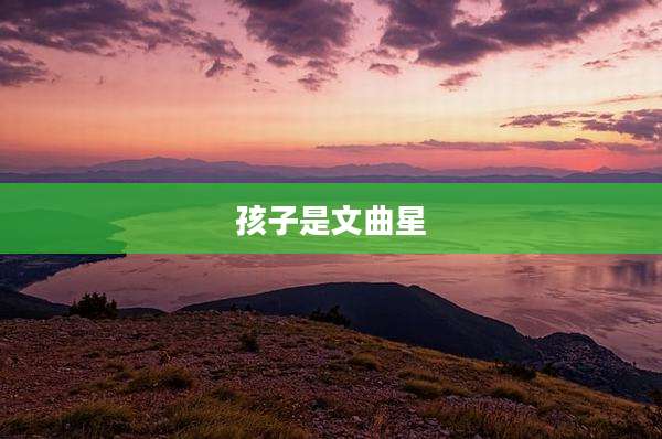 孩子是文曲星