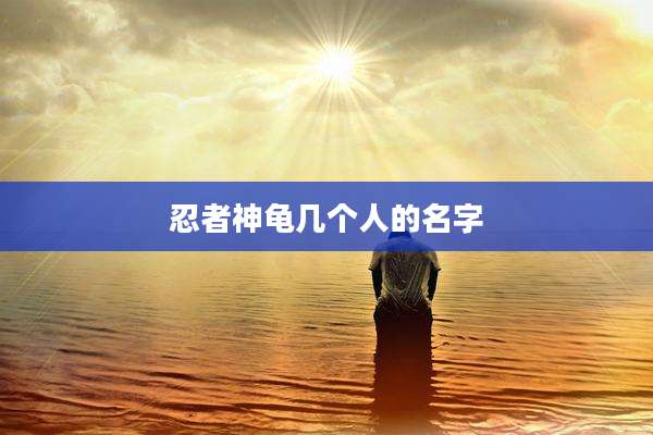 忍者神龟几个人的名字