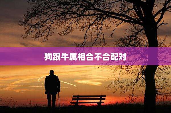 狗跟牛属相合不合配对