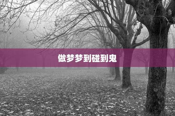 做梦梦到碰到鬼