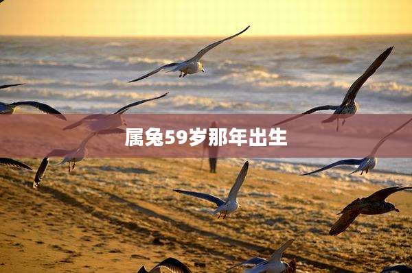 属兔59岁那年出生