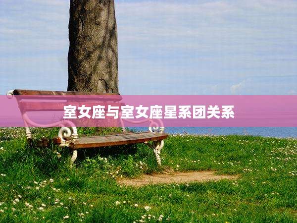 室女座与室女座星系团关系