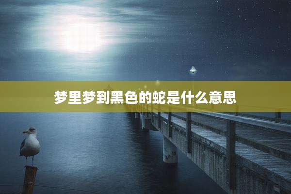 梦里梦到黑色的蛇是什么意思