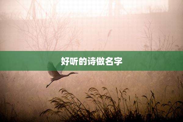 好听的诗做名字