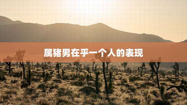 属猪男在乎一个人的表现