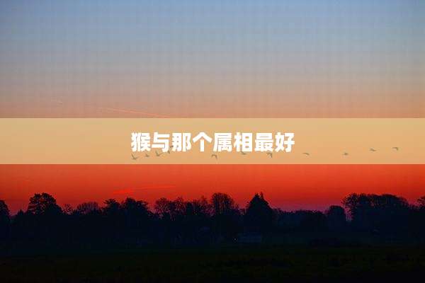 猴与那个属相最好