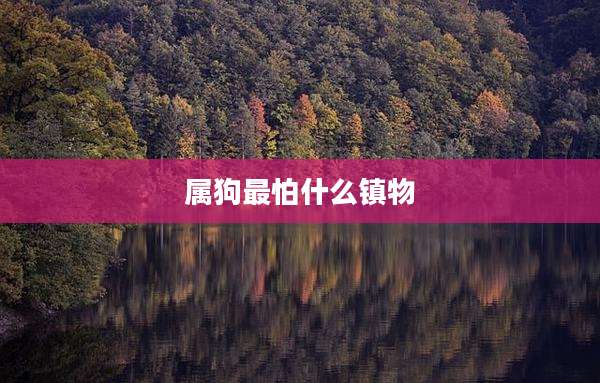 属狗最怕什么镇物