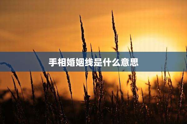 手相婚姻线是什么意思