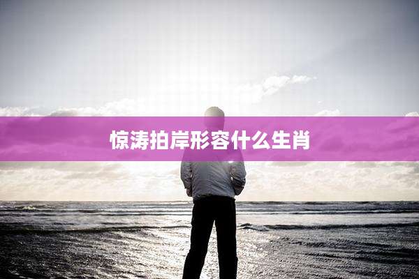 惊涛拍岸形容什么生肖
