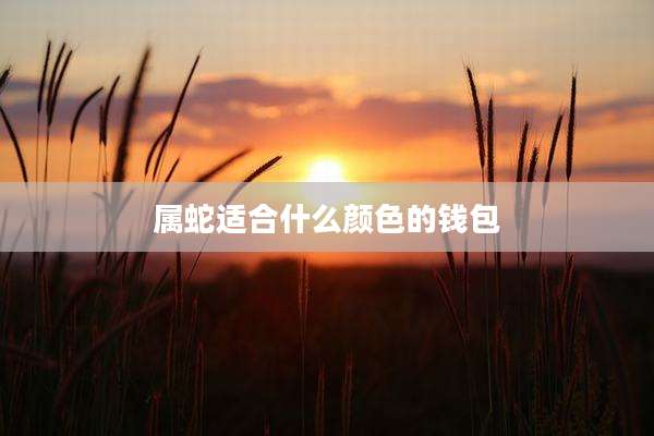 属蛇适合什么颜色的钱包