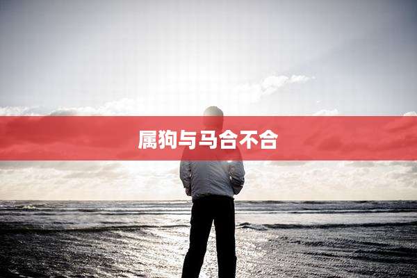 属狗与马合不合