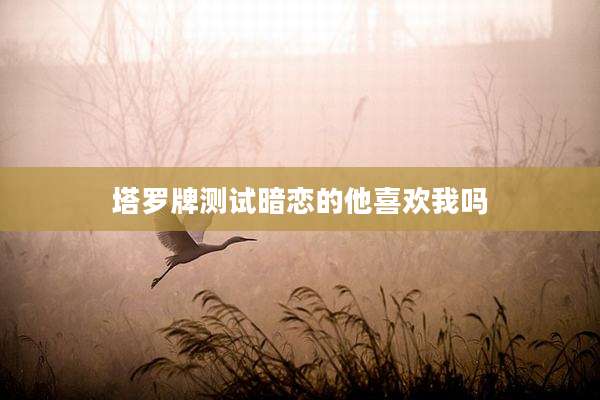 塔罗牌测试暗恋的他喜欢我吗