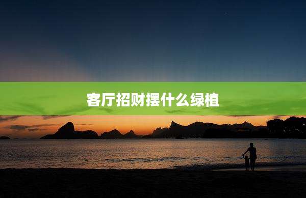 客厅招财摆什么绿植