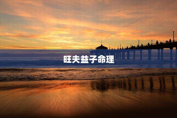 旺夫益子命理