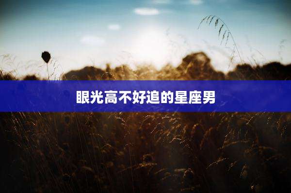 眼光高不好追的星座男