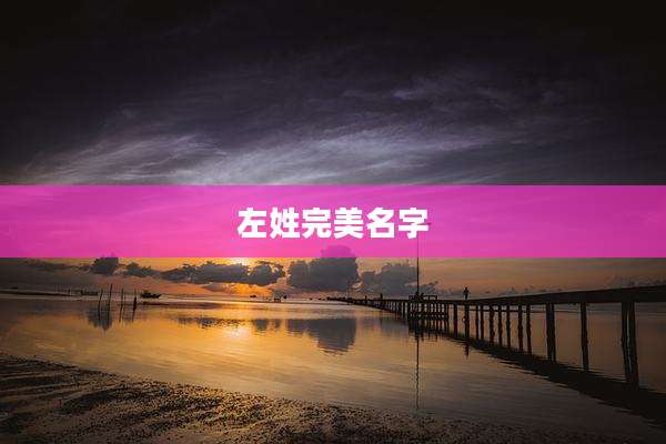 左姓完美名字