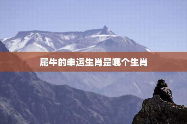 属牛的幸运生肖是哪个生肖