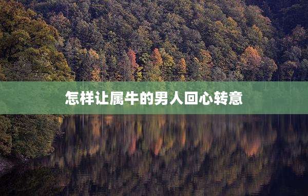 怎样让属牛的男人回心转意