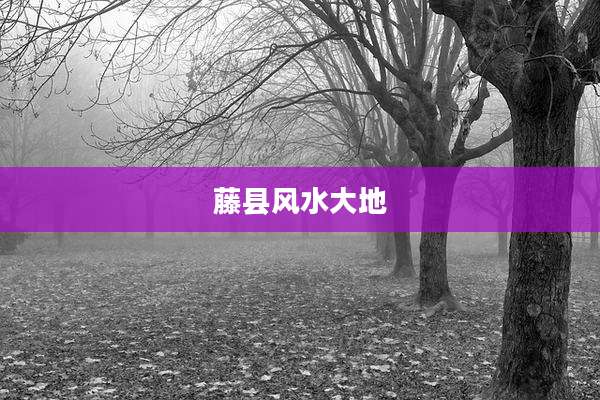 藤县风水大地