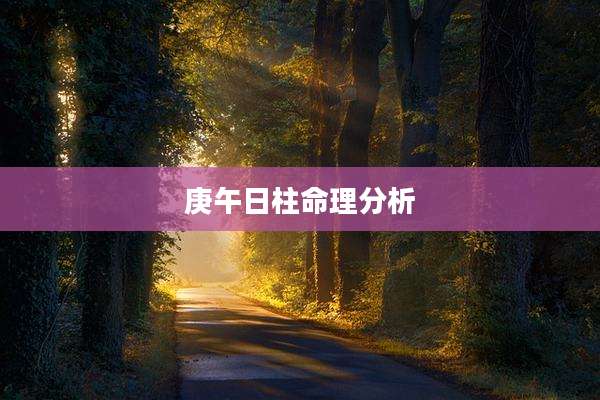 庚午日柱命理分析