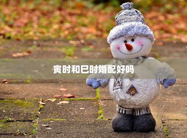 寅时和巳时婚配好吗