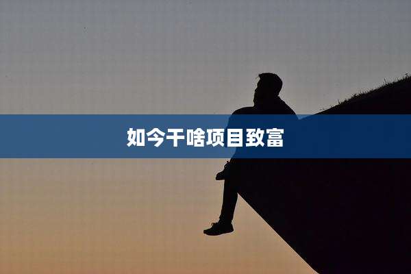 如今干啥项目致富