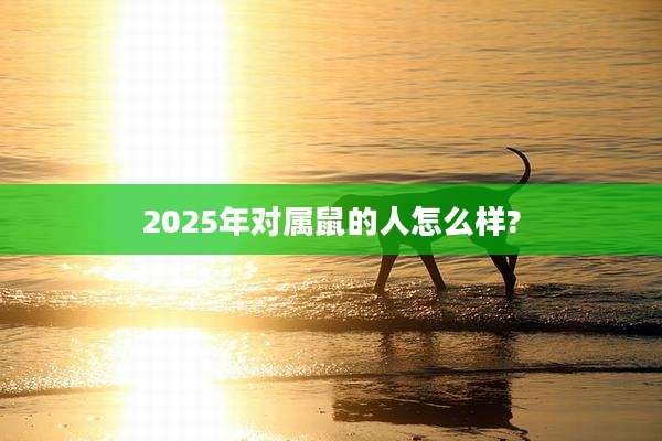 2025年对属鼠的人怎么样?