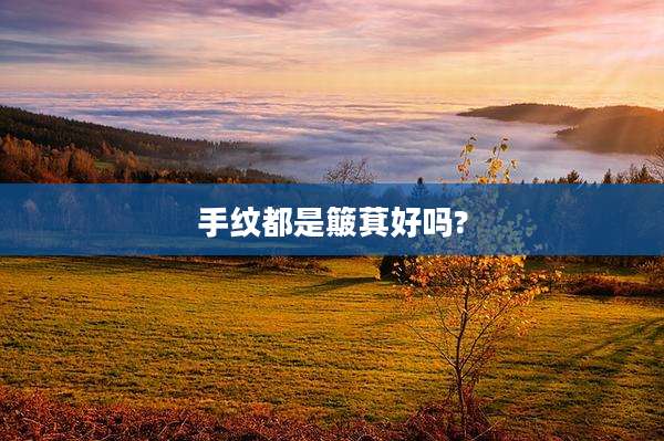 手纹都是簸萁好吗?