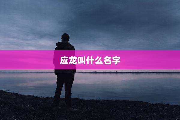 应龙叫什么名字