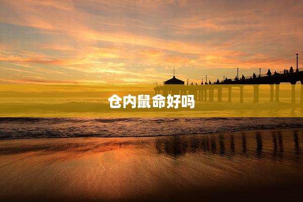 仓内鼠命好吗