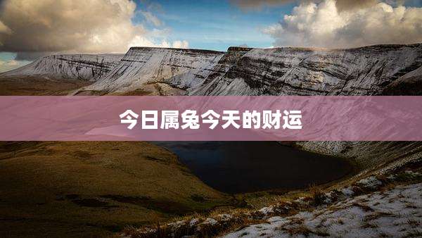 今日属兔今天的财运
