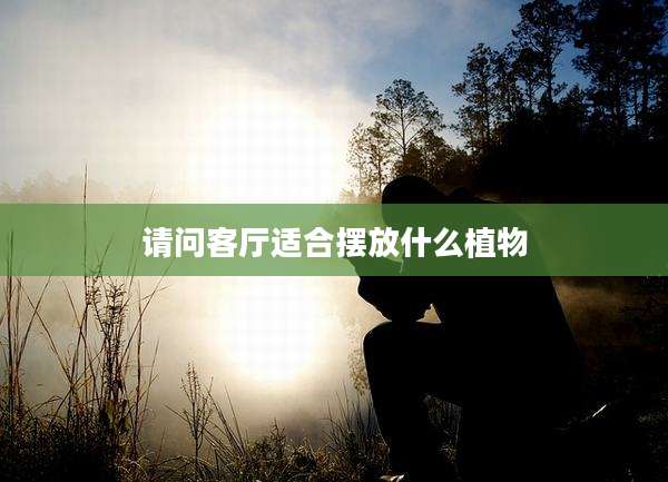 请问客厅适合摆放什么植物