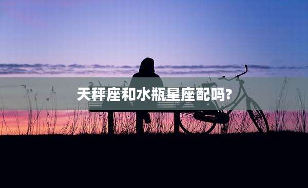 天秤座和水瓶星座配吗?