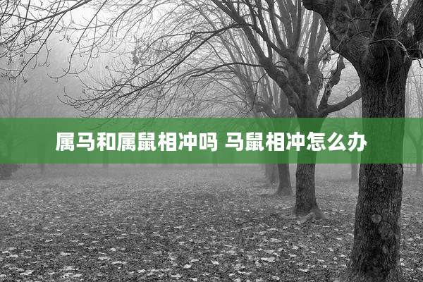 属马和属鼠相冲吗 马鼠相冲怎么办