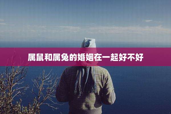 属鼠和属兔的婚姻在一起好不好