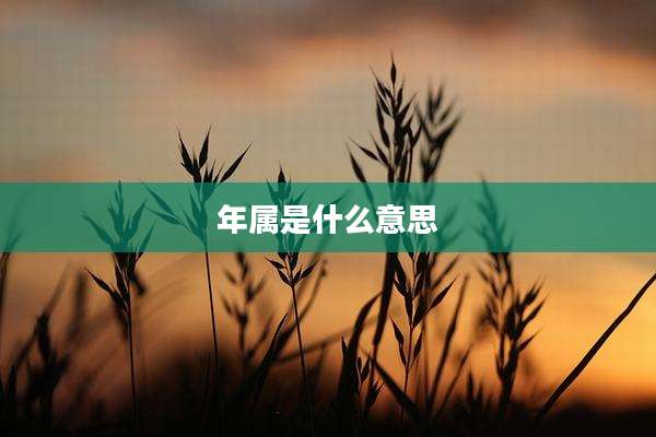 年属是什么意思