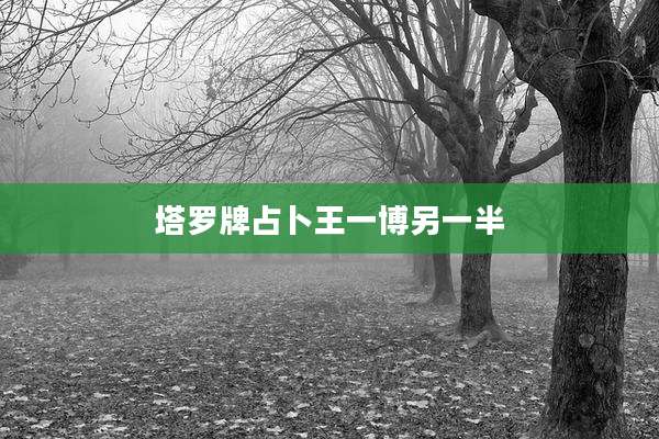 塔罗牌占卜王一博另一半