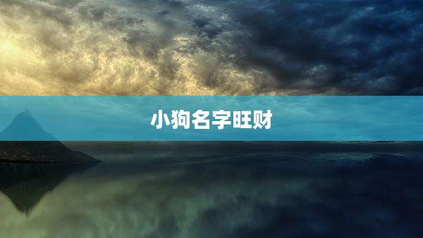 小狗名字旺财